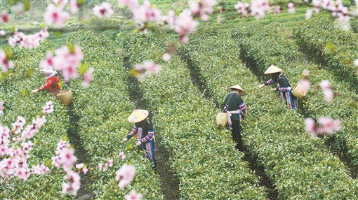 常宁市塔山瑶族乡图片